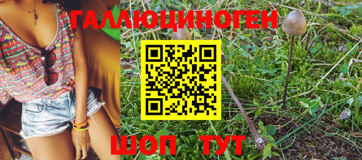 Всеволожск  где можно купить наркотик  Вход с VPN  Галлюциногенные грибы GOLDEN TEACHER 