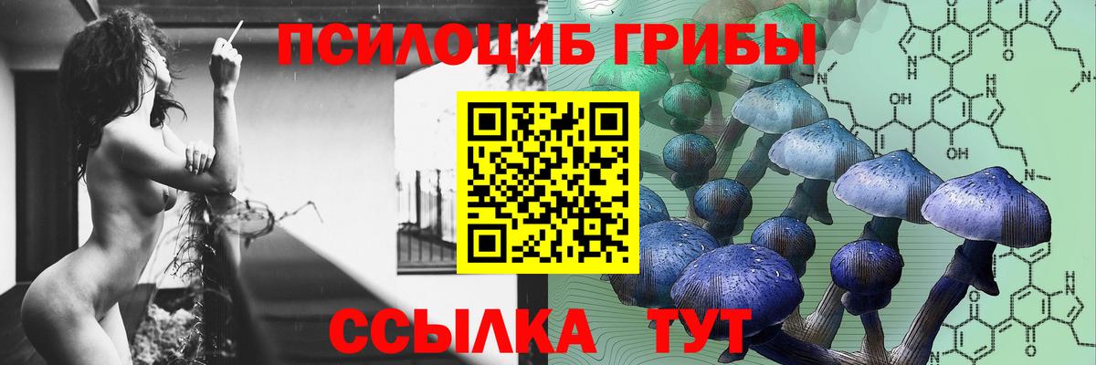 Псилоцибиновые грибы GOLDEN TEACHER Всеволожск