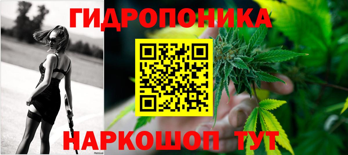 Бошки марихуана гибрид  Бошки Шишки White Widow  Вход с VPN  МАРИХУАНА тримм  Всеволожск 